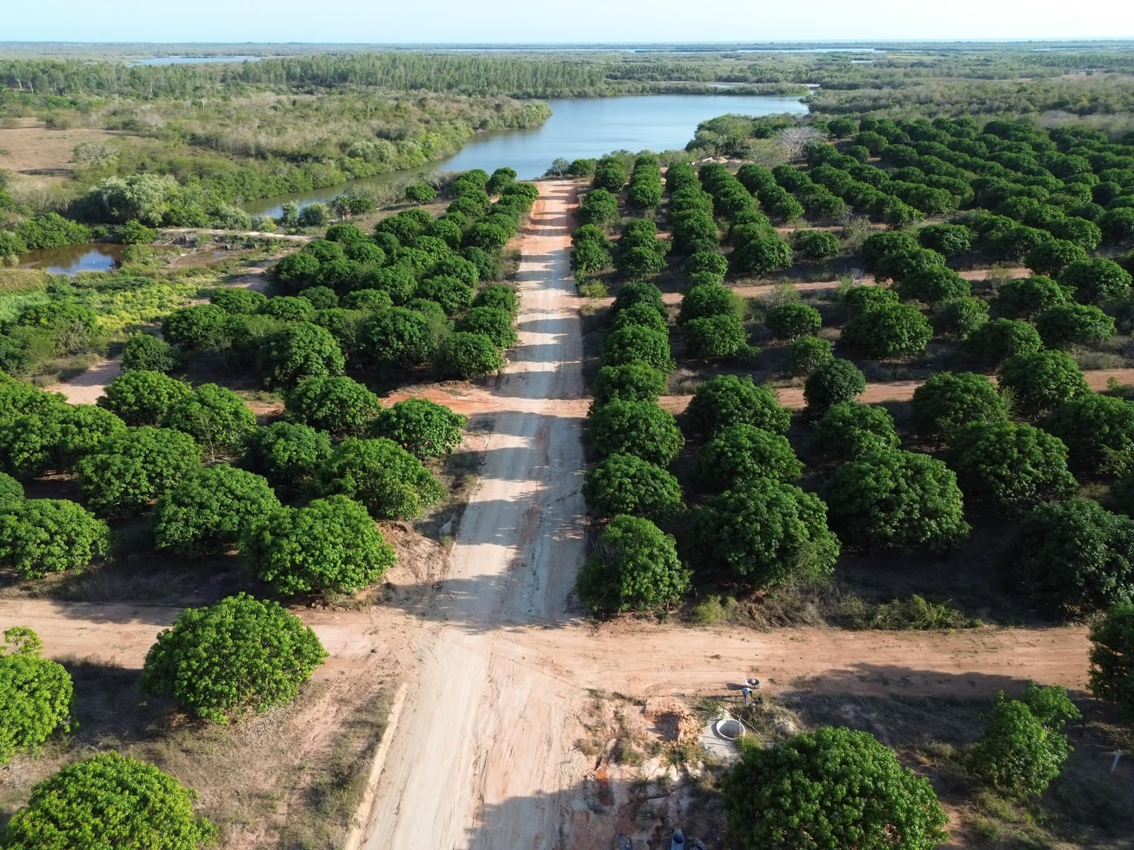 Vista aérea del camino y la vegetación de Residencial Tres Lagos junto al lago